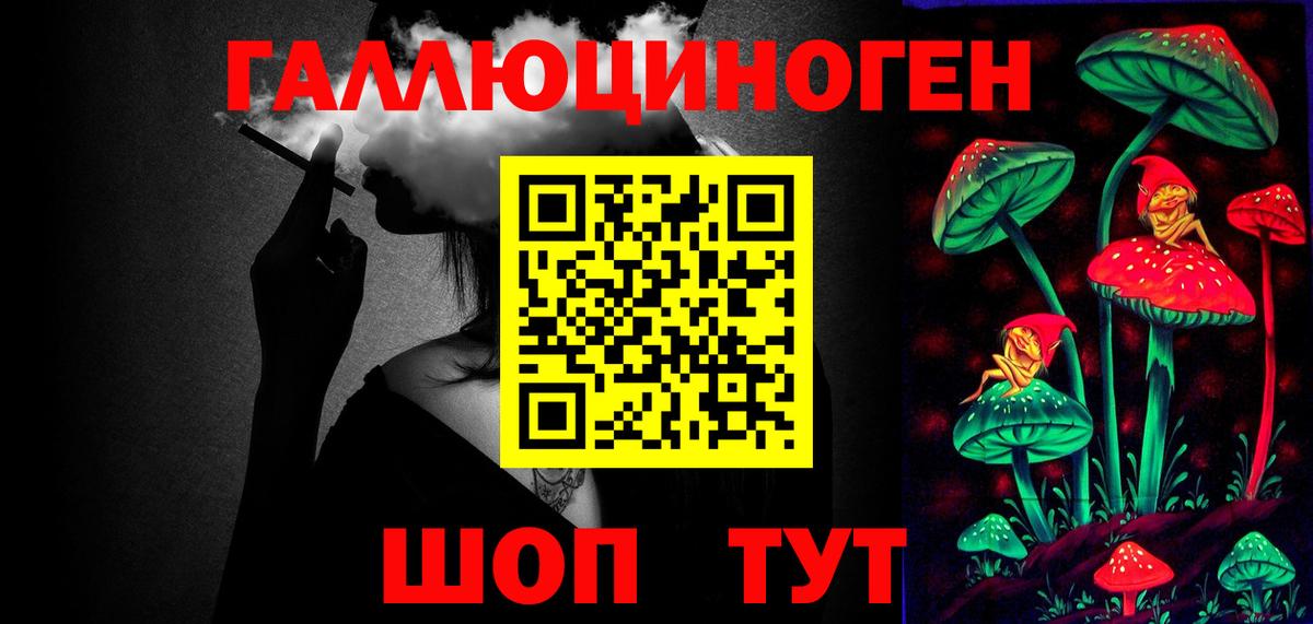 Галлюциногенные грибы Psilocybine cubensis Бугульма