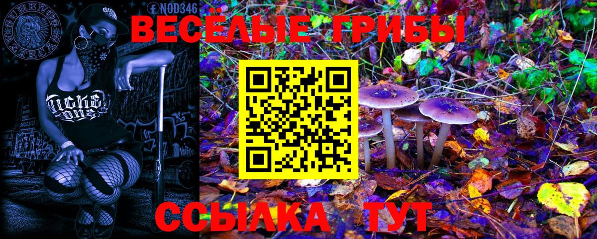 где продают   Вход с VPN  Бугульма  Галлюциногенные грибы MAGIC MUSHROOMS 